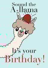 Sound the A-llama birthday card created by Little Prints Fred Designs