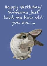 Judgemental Bunny Birthday Card created by The Warren Creations