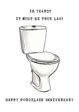 Funny Porcelain Toilet Anniversary Card - 18 Years - It Must Be True Lav created by Panda and the Prince