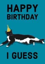 Grump cat birthday created by Designs by Elena