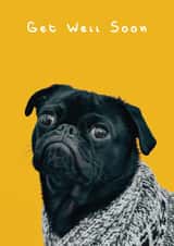 Pug - Get Well Soon created by Wack Cards