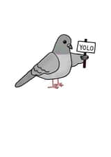 The YOLO Pigeon Any Occasion Card created by Random.Betty
