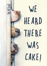 Funny Birthday Card - Dogs - Heard There Was Cake created by Bewilderbeest