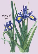 Thinking of you floral created by Winifred & The Wolf