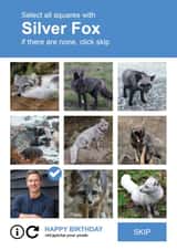 Personalised Birthday Photo Card created by Paul Stevens - Funny Personalised Silver Fox Photo Card / Birthday Card - Select All The Squares With Silver Fox