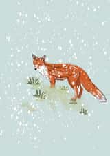 Fox wildlife greetings card  created by Lorna Ellen Photos