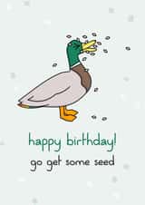 Naughty bird birthday card created by dirty birds