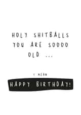 Holy Shitballs You Are So Old, Funny Birthday Card. Old Age Birthday created by Basic Bitch