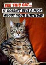 Rude Birthday Card - Cat - See This Cat It Doesn't Give A Fuck About Your Birthday created by Dean Morris Cards