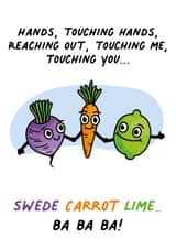 Swede Carrot Lime 'sweet caroline' Neil Diamond birthday card created by Huxters