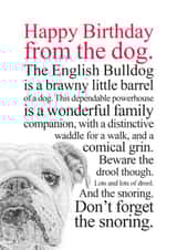 Funny Birthday Card From An English Bulldog created by Coulson Macleod