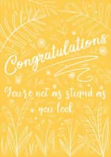 Congrats, stupid! created by Anneka Else
