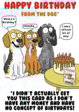 Happy Birthday From The Dog created by Helen Giddings