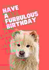 Have a Furbulous Birthday - Greeting Card created by The Daft Doodle Co.