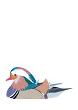 Mandarin Duck created by Jaypea Art