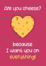 Are you cheese? created by Chubby Sparrow