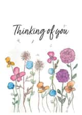 Thinking Of You created by Chloe Teddy