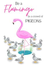 Be a Flamingo! created by Kody Burns, KB Designs 