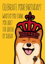 Queen of Shiba!? created by Rosewood Design