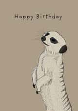 Happy Birthday Meerkat Card created by Lisa Swift Illustration