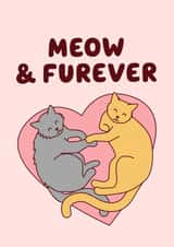 Meow & Furever Cat Love Card created by Tiny Bee Cards