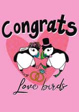 Mr and mrs puffin created by Sarah Foll