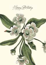 Classic Flower Blossom Birthday Card created by Makers