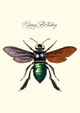 Painted fly birthday card created by Makers