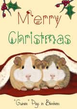 Merry Christmas “Guinea” pigs in blankets created by The Warren Creations
