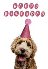 Party Dog Birthday Card created by Ruby and Ophelia