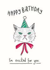 Happy Birthday Grumpy Cat Card created by Big Pencil Prints