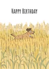 Dog in Field Birthday Card created by Send Salutations