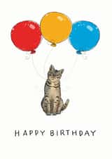 Cute Birthday Card for the Cat loving person in your life created by Have a Gander