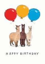 Cute Birthday card for the Alpaca Lover in your life created by Have a Gander