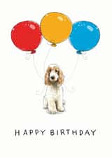 Cute Birthday Card for the Cocker Spaniel lover in your life created by Have a Gander