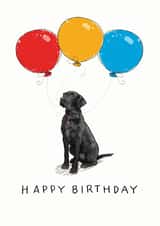 Cute Birthday card for the labrador lover in your life created by Have a Gander