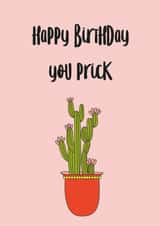 Happy Birthday You Prick Birthday Card Rude Card Funny Card for Partner created by Roshni Desai & Things
