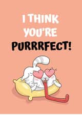 Friendship, Love Card - I think you are purrr-fect! created by JoyGreets