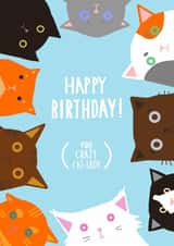 'Happy Birthday ! (you crazy cat-lady)' created by setsunai
