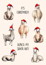 Cute Alpaca themed Christmas Card! Alpacas in santa hats! created by Poppy & Mabel