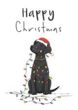 Cute Christmas card featuring a Black Labrador wrapped up in fairy lights created by Lucy Driver