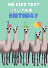 Cute birthday card - llamas - we herd that it's your birthday created by GingerBeards