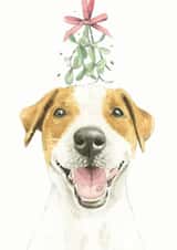 Jack Russell Terrier Christmas Card created by Robert James Hull