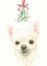 Chihuahua Mistletoe Christmas Card created by Robert James Hull