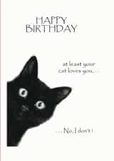 A cute cat card for your loved one on there birthday created by David Stringer ( STRINGS )