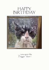 a cute cat card for your birthday BFF created by David Stringer ( STRINGS )