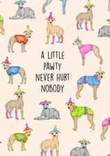 A whippet's birthday pawty! created by Poppy & Mabel 