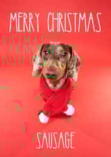 Merry Christmas Sausage Dog Dachshund Card created by The Yorkshire Pawtrait Co.