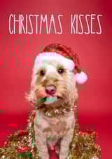 Cockapoo Christmas Kisses Dog Card created by The Yorkshire Pawtrait Co.