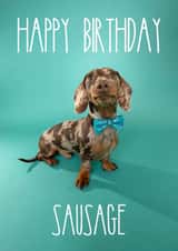 Sausage Dog in a Bow Tie Birthday Card created by The Yorkshire Pawtrait Co.